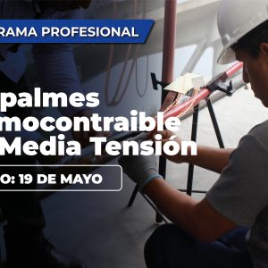 Empalmes Termocontraible en Media Tensión - Intensivo